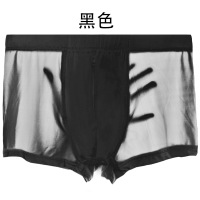 XU0101081
